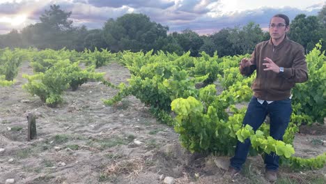 Sommelier-explaining-how-wine-is-harvested-in-a-vineyard-in-San-Martin-de-Valdeiglesias-in-the-province-of-Madrid,-Spain