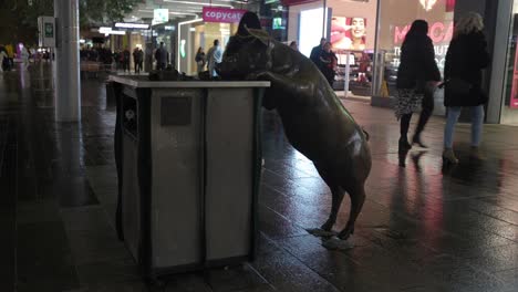 Located-in-Rundle-Mall-Adelaide-South-Australia,-these-life-sized-pigs-look-to-be-having-a-great-day-out-in-Rundle-Mall-as-they-walk-the-Mall,-dig-through-the-bin-for-food-scraps-and-greet-passers-by