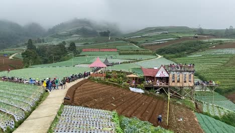 Blick-Auf-Lauchfelder-An-Den-Hängen-Des-Mount-Sumbing,-Indonesien