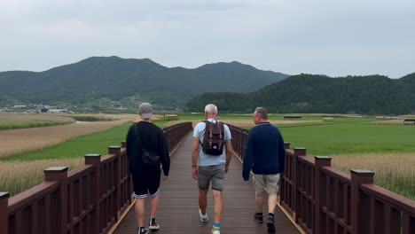 Toma-En-Cámara-Lenta-De-Un-Turista-Masculino-Caminando-Sobre-Un-Puente-Que-Cruza-El-Río-Y-Los-Campos-De-Plantaciones-En-Corea-Del-Sur---Observatorio-De-Yongsan,-Suncheon