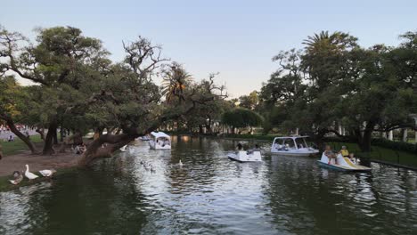 Dolly-Aéreo-De-Barcos-Que-Navegan-En-El-Estanque-De-Rosedal-Gardens-En-El-Barrio-De-Palermo-Al-Atardecer,-Buenos-Aires