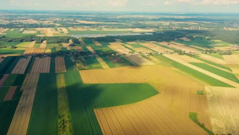 Grünes-Abstraktes-Bild-Diagonaler-Linien-Aus-Verschiedenen-Feldfrüchten-Im-Frühsommer,-Aufnahme-Von-Drohne-Direkt-über-Dem-Boden