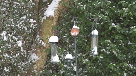 Tres-Comederos-Para-Pájaros-En-La-Nieve