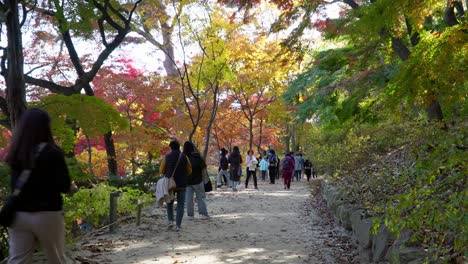 Follaje-Otoñal-Del-Jardín-Del-Palacio-Changgyeonggung-Con-Personas-Con-Máscaras-Faciales-Caminando