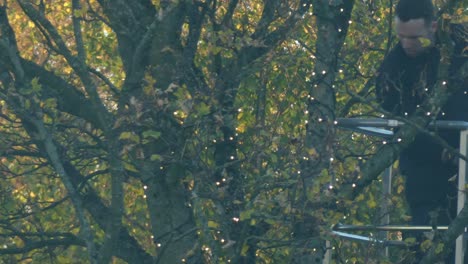 Árbol-Trepador-Masculino-Colgando-Luces-Navideñas-Decorativas-Alrededor-De-Las-Ramas-De-La-Grúa-Recolectora-De-Cerezas