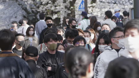 Paisaje-Bullicioso-Con-Gente-Abarrotada-Reunida-Durante-El-Festival-De-Flores-De-Sakura-En-Medio-De-La-Pandemia-De-Covid-19-En-Tokio,-Japón