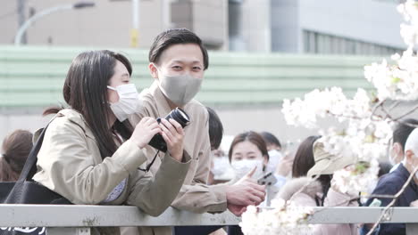 Couple-Wearing-Face-Mask-Taking-Photos-Of-Sakura-Flowers-With-A-DSLR-Camera-In-Tokyo,-Japan---medium-shot