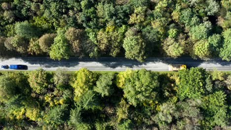 Herbstlandschaft-Von-Oben-Mit-Fahrenden-Autos-Auf-Einer-Geraden-Straße-Durch-Den-Ländlichen-Wald