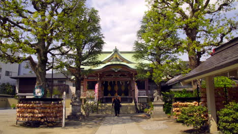 TOKYO,-JAPAN-circa-April-2020:-woman-walking-the-approach-to-worship-at-famous-Japanese-shrine-for-good-marriedge,-wooden-plaques-hanging-in-peaceful-zen-garden-on-a-sunny-spring-day