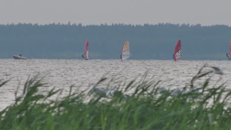 Festival-De-Windsurf-En-El-Lago