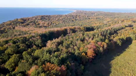 Aerial-view-of-the-incredible-beautiful-coastline-with-woods-in-amazing-colours-in-Odsherred,-Zealand,-Denmark