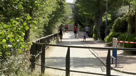 Gruppe-Von-Sportlern,-Die-Auf-Einer-Schmalen-Straße-Zwischen-Bäumen-Einen-Marathon-Laufen