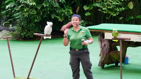 Cockatoo-and-parrot-together-with-their-trainer-in-a-large-area-destined-for-conservation