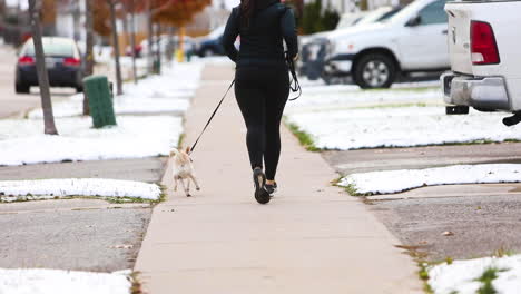 Junge-Frau-Läuft-Im-Winter-Mit-Ihrem-Hund-Auf-Dem-Bürgersteig