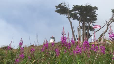 Lila-Blumen-Unter-Dem-Battery-Point-Light-House