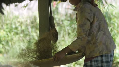 Slow-motion-of-an-old-Muslim-woman-winnowing,-working-the-rice-in-the-Traditional-Sundanese-village-Kampung-naga