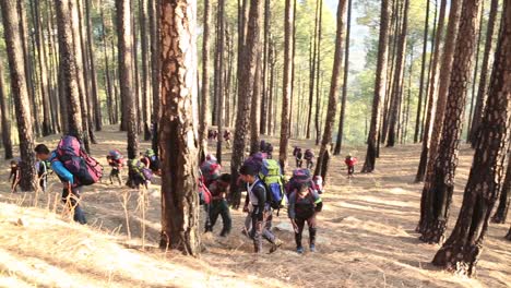 Excursionistas-Del-Himalaya-Que-Comienzan-Su-Viaje-De-Trekking-Para-Llegar-Al-Destino