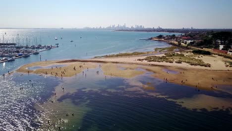 Absteigende-Drohnenaufnahmen-Von-Menschen-Und-Hunden-Am-Brighton-Dog-Beach,-Mit-Der-Skyline-Von-Melbourne-Im-Hintergrund