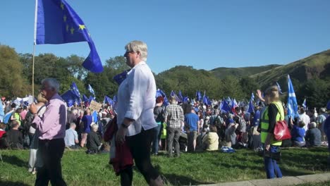 Zeitlupe-Eines-Mannes,-Der-Bei-Einer-Pro-EU-Kundgebung-Eine-EU-Flagge-Hisst