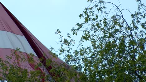 A-large-Latvian-flag-flies-behind-trees,-close-up