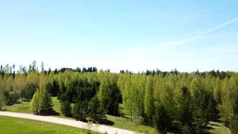 Un-Buen-Empujón-Suave-Hacia-El-Bosque-Sobre-El-Campo-De-Carreras