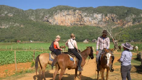 Jinetes-En-Campo-De-Tabaco