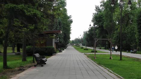 Relaxing-Smooth-Walk-Through-Park-and-Sidewalk-With-Trees-and-Benches-on-a-Nice-Day