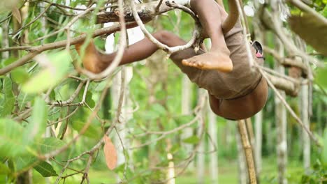 Niño-Indio-Trepando-En-Las-Ramas-De-Un-árbol-En-La-Jungla-De-La-India