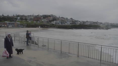 Menschen-Und-Ein-Hund-An-Der-Promenade-Von-Clovelly-Beach-Während-Des-Sturms-–-Gefährliche-Wellen-Schlagen-Am-Ufer-–-Sydney,-New-South-Wales,-Australien-–-Weitwinkelaufnahme