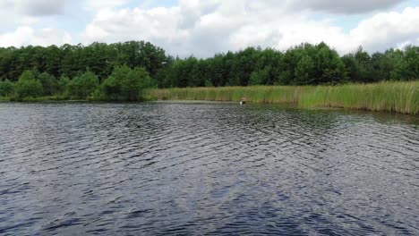 See-Mit-Dichten-Wäldern-Im-Hintergrund-Und-Einem-Mann,-Der-Im-Seichten-Wasser-Fischt