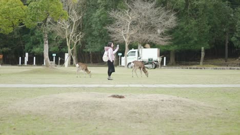 Joven-Asiática-Sosteniendo-Su-Teléfono-Y-Pasando-El-Rato-Con-Los-Ciervos-En-El-Parque-De-Nara,-Japón