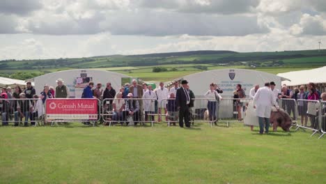 Zuschauer-Beobachten,-Wie-Sich-Die-Teilnehmer-Der-Schweineshow-Auf-Der-Royal-Cornwall-Show-2019-In-Wadebridge,-Vereinigtes-Königreich,-Im-Showring-Bewegen-–-Totale