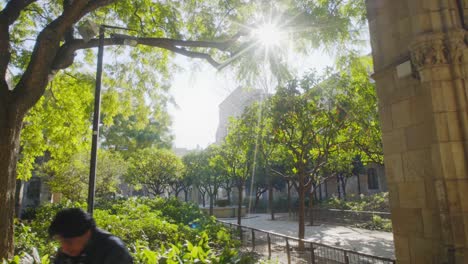 Increíble-Tiro-De-Seguimiento-A-Través-De-Pilares-De-Piedra-Y-Hermosos-árboles-Con-Sol-Llameante-En-El-Barrio-Del-Raval-De-Barcelona