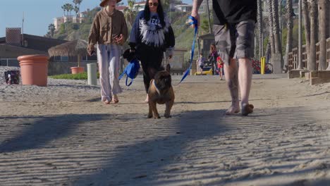 Chico-Paseando-Un-Bulldog-Francés-Descalzo-En-San-Clemente,-California