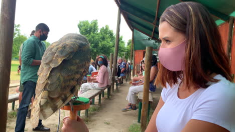 Brunette-woman-holding-a-Barn-Owl-on-a-perch-and-stroking-it