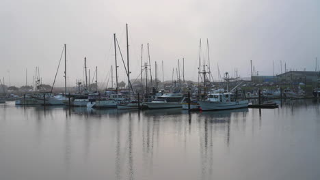 Cuenca-Del-Barco-Y-Reflejos-De-Los-Barcos-De-Pesca-En-Charleston,-Oregon---Plano-General