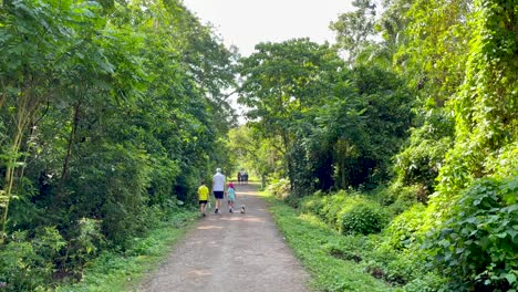 Familia-Disfrutando-De-Un-Paseo-Por-El-Corredor-Verde,-Antigua-Línea-Ferroviaria-En-Singapur