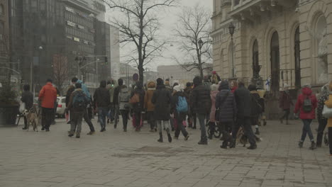 Crowd-of-people-walking-in-the-city-street-during-a-peaceful-protest