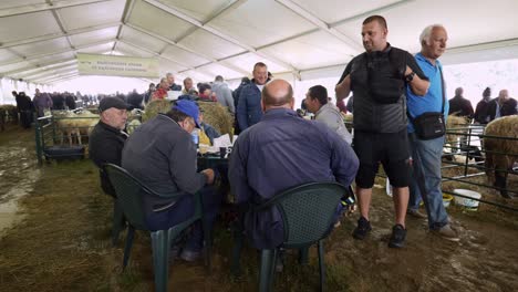 Landwirtschaftliche-Schafzüchter-In-Overalls-Gekleidet-Sitzen-Am-Tisch-Beim-Schaffest-Der-Kulturellen-Veranstaltung