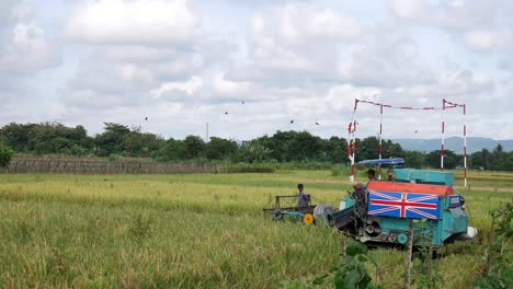 Yogyakarta,-Indonesien---11.-Dezember-2021:-Landwirtschaftsbetrieb-Mit-Reisernte-Und-Bauer