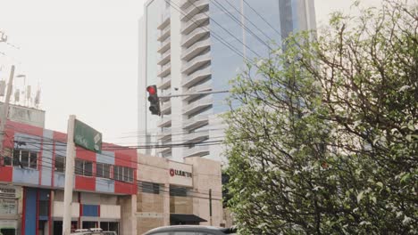 Tilt-down-shot-of-high-rise-glass-blue-looking-building-behind-bush-tree-leads-to-street-light-intersection-with-vehicle-waiting-their-turn-to-pass