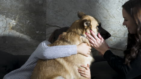 Young-girl-and-her-mother-playing-with-and-petting-dog-on-sofa