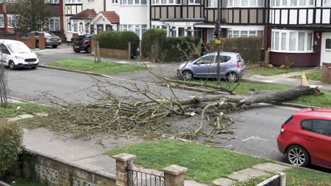 Auto-Fährt-Aufgrund-Des-Sturms-Eunice-Am-18.-Februar-2022-Auf-Dem-Bürgersteig-Um-Einen-Umgestürzten-Baum-In-Einer-Wohnstraße-In-London-Herum