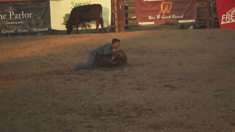 El-Hombre-Salta-Del-Caballo-Para-Hacer-Frente-A-Una-Vaca-Pequeña-Durante-Una-Competencia-De-Vaqueros