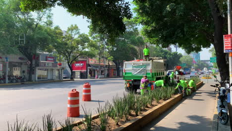 Trabajadores-Municipales-Plantando-Plantas-Verdes-En-Un-Lecho-De-Flores-Al-Lado-De-La-Carretera-En-La-Ciudad-De-México