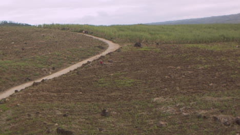 Zuckerrohrplantage-Auf-Einem-Berg-In-Der-Provinz