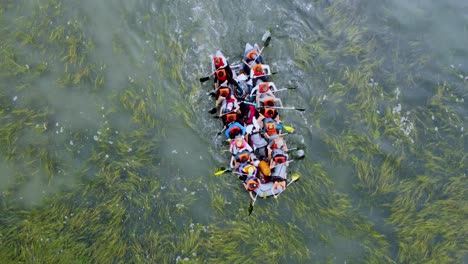 Erstaunliche-Aufnahme-Einer-Gruppe-In-Schwimmwesten,-Die-Durch-Grüne-Wasserpflanzen-In-Kalifornien-Fährt