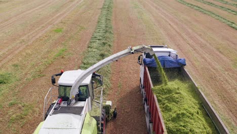 Proceso-De-Recolección-De-Ensilaje-De-Trigo-Después-De-La-Cosecha-En-Un-Remolque-De-Camión,-Vista-Aérea