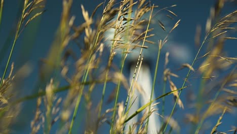 Video-Einer-Alten-Windmühle-Auf-Einem-Verlassenen-Bauernhof