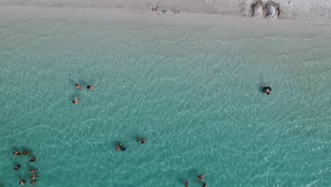 Aerial-view-of-tourist-in-the-sea